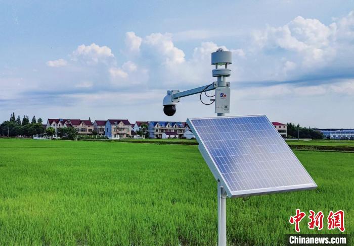 清美腰路智慧稻田的农田一体化智能监测杆 上海清美绿色食品集团供图