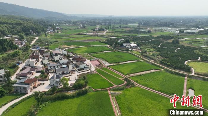 川渝打造现代高效特色农业带“双昌”合作园驶入“快车道”