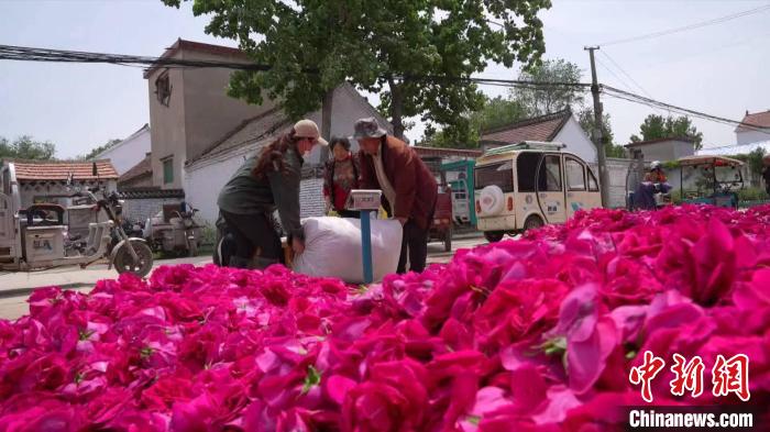 图为民众正在售卖玫瑰鲜花。　闫晓娜 摄